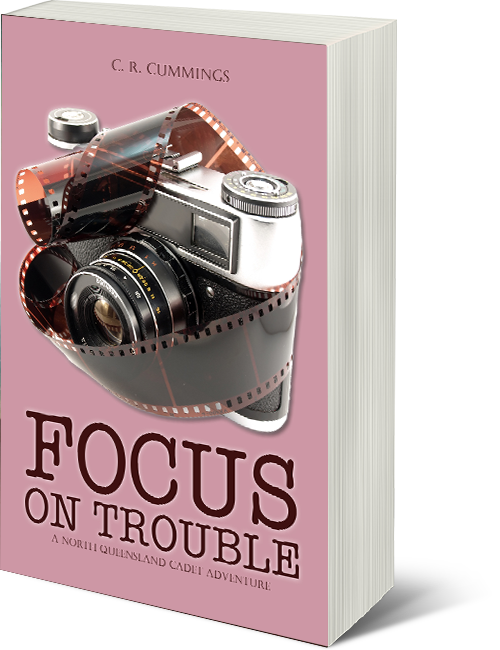 Focus on Trouble by C R Cummings